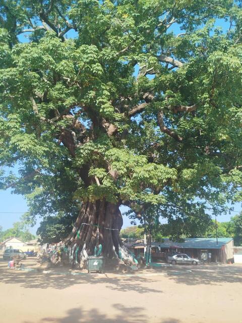 Hujufei uto hu t'Assebe