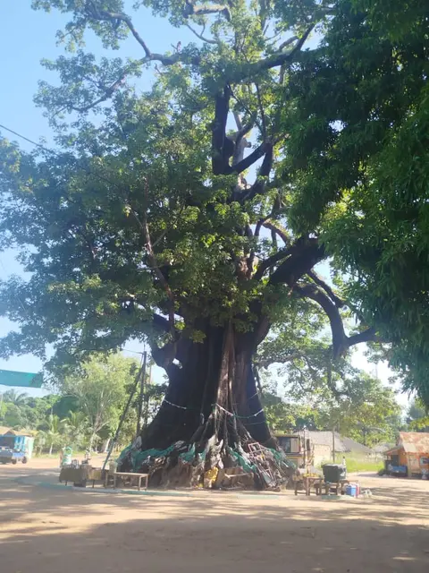 Hujufei uto hu t'Asseb
