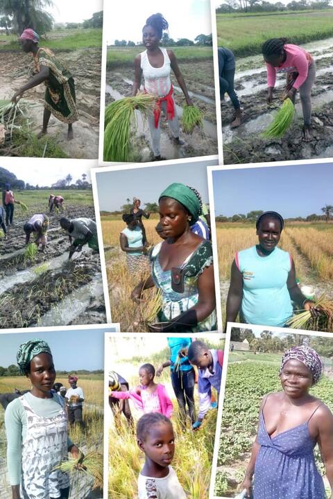 Hitaaŋat ne etool i