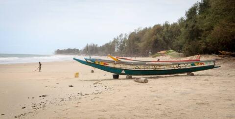 Busoona bite kajuŋei