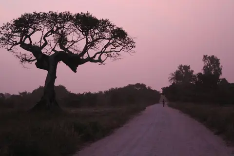 Hujufei hu hemo hu ti bitim bu ti sisili