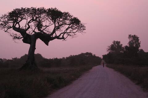 Hujufei hu hemo hu ti bitim bu ti sisili